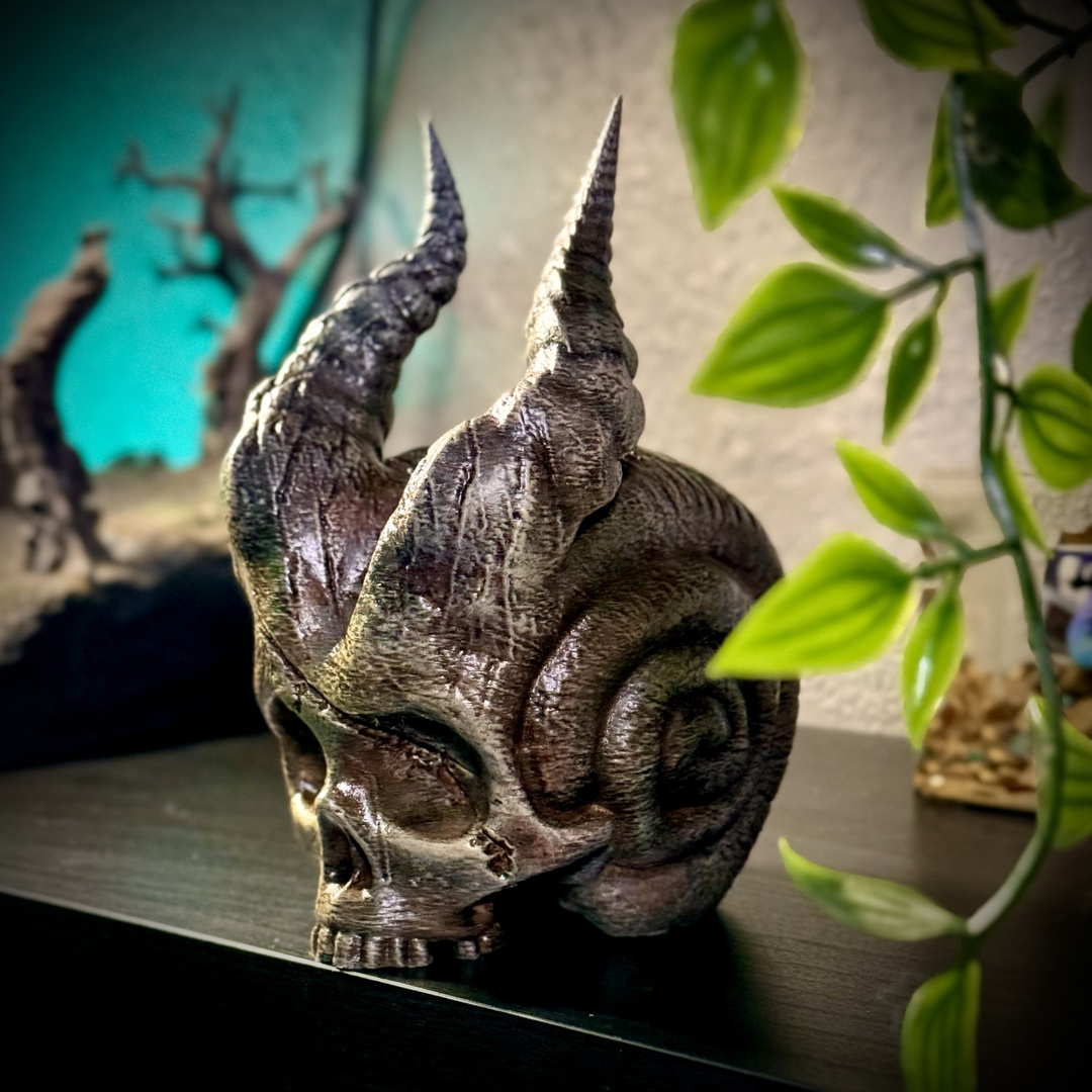 Skull of the demon snail
