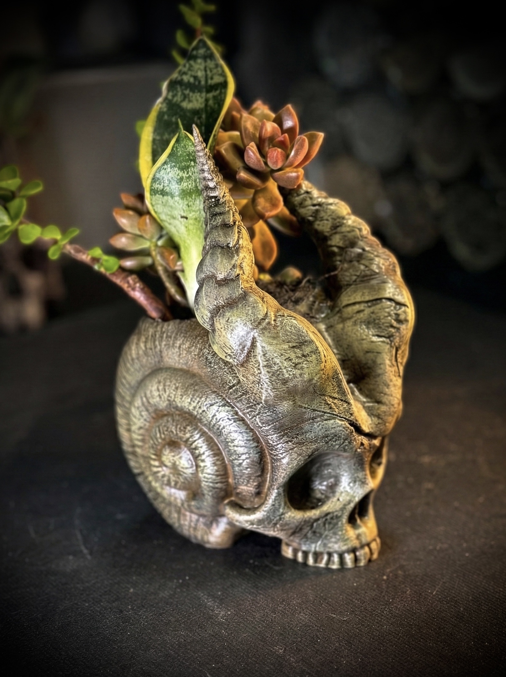 Skull of the demon snail planter