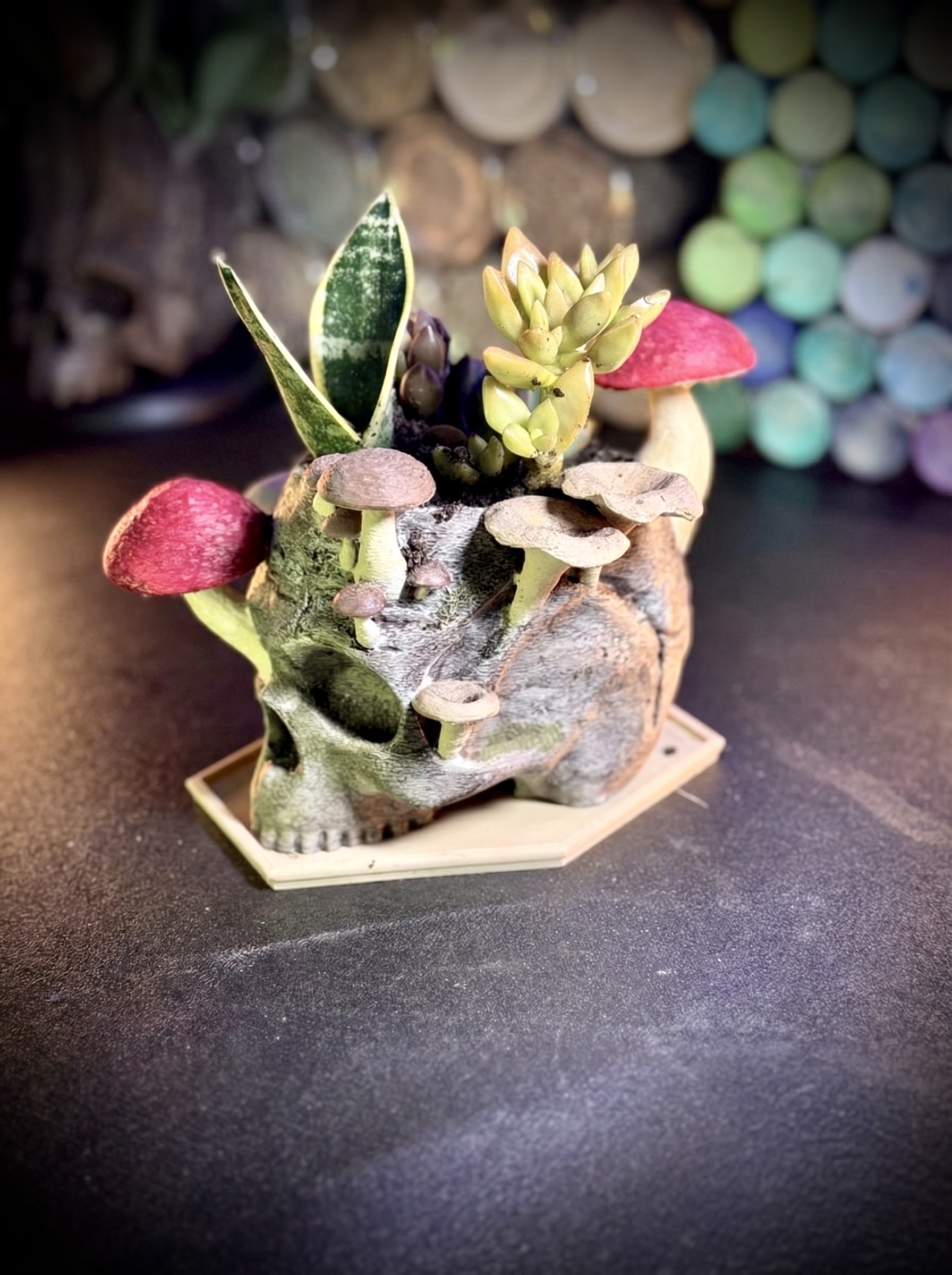 The reclaimed skull planter